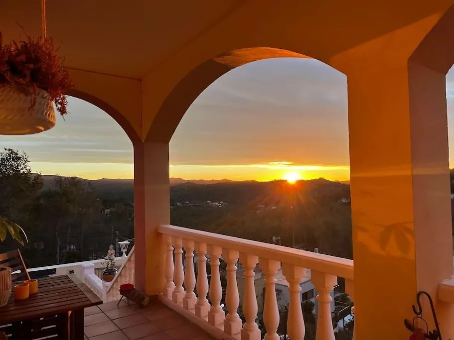 Prázdninový dům Vila Casa Maca, Espectacular Casa Con Piscina Y Vistas Olivella Španělsko